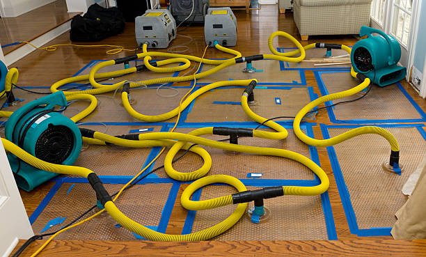 Professional Crawl Space Water Removal technician working in Spencerville, OH